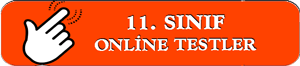 Lise 11. Sınıflar Online Testler