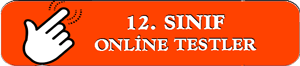 Lise 12. Sınıflar Online Testler