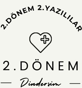 10 Peygamberimizin Hayatı 2. Dönem 2. Yazılı